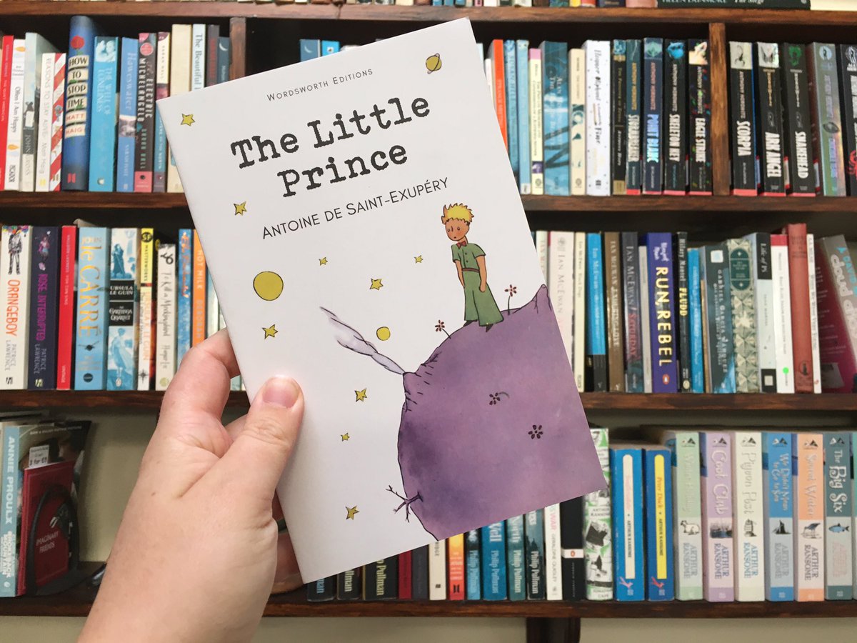 Book 28 is one that I’m ashamed to say I hadn’t read before now: ‘The Little Prince’, by Antoine de Saint-Exupéry (translated by Irene Testot-Ferry)  #amreading  #novellathon