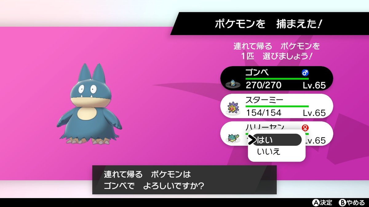 盾 ポケモン ゴンベ 剣