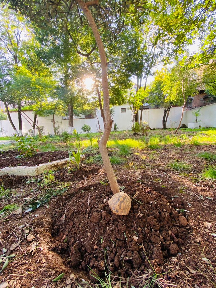 Play, learn and grow together. 👨‍👩‍👧‍👦
If you want a child's mind to grow.. you must plant a seed 🌱 
#ThinkGreen 🍀#ActGreen  💚