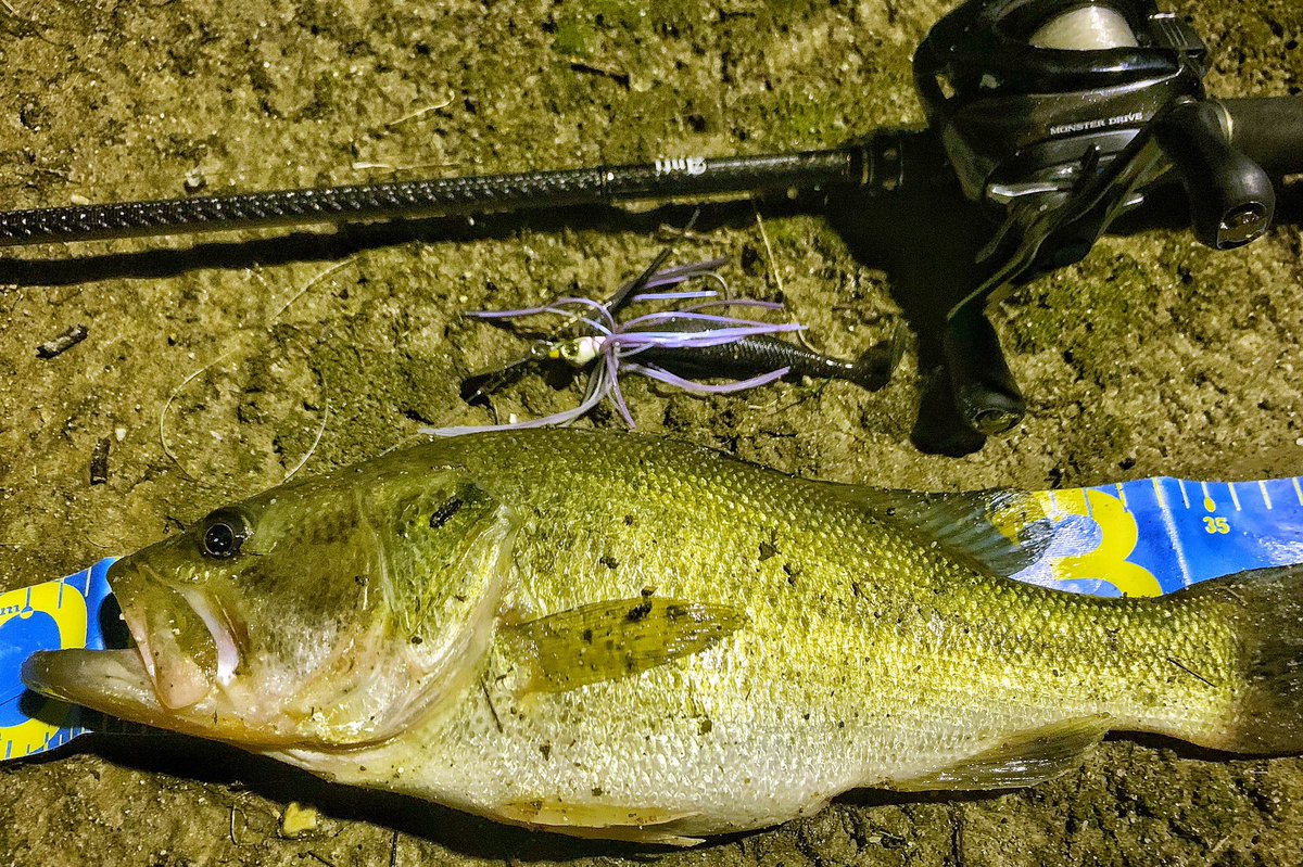 3jsb_jin's tweet photo. bass fishing🎣✨
インスタ釣り垢👍
よかったらフォローお願いします😊 https://t.co/MovTB28dJG