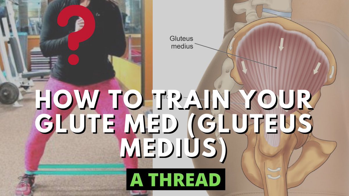 A thread on how to train your Gluteus MediusWhat if I told you mini-band walks aren’t enough for training & “activating” the glute med?Most people think of the glute med as an abductor, but it’s so much more than that and has many roles (Levangie, 2010). It actually..