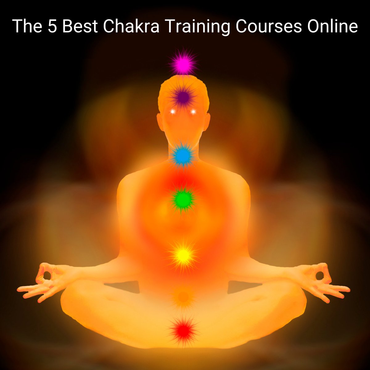 🧘✨

➡️ Check out the link provided to learn about 'The 5 Best Chakra Training Courses Online'

l8r.it/Vb3m

#MITM #mindisthemaster #masteringourmind #yoga #mindfulness #meditate #spiritual #healing #yogi #wellness #namaste #chakrayoga #onlineyoga #yogatraining