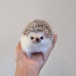 本物？作りもの?見分けが全くつかない羊毛フェルトの世界!