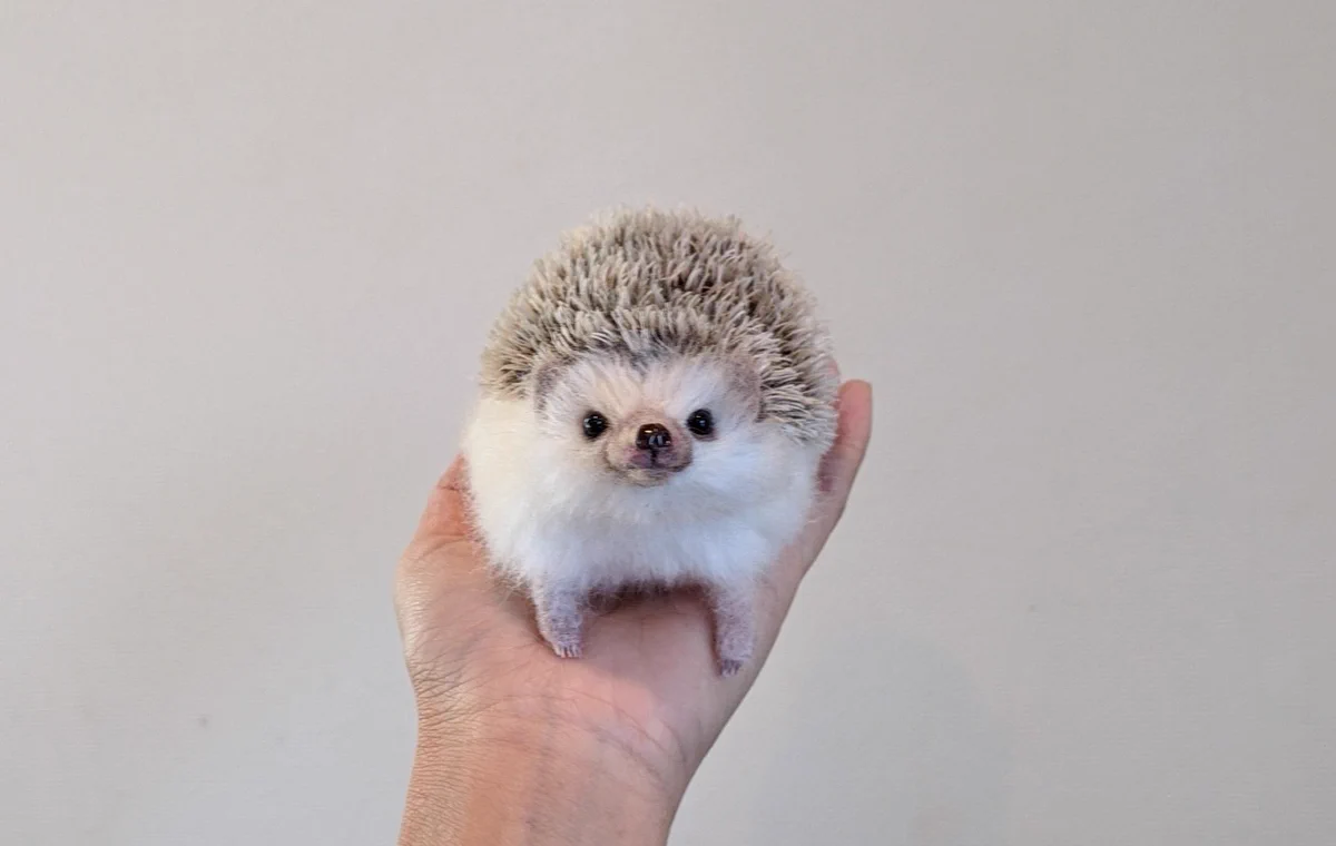 本物？作りもの?見分けが全くつかない羊毛フェルトの世界！！