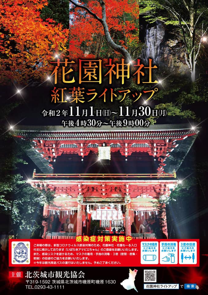花園神社ライトアップ 花園渓谷の紅葉 北茨城市 茨城県 テレビで紹介されたご当地グルメ 今週末のイベント情報