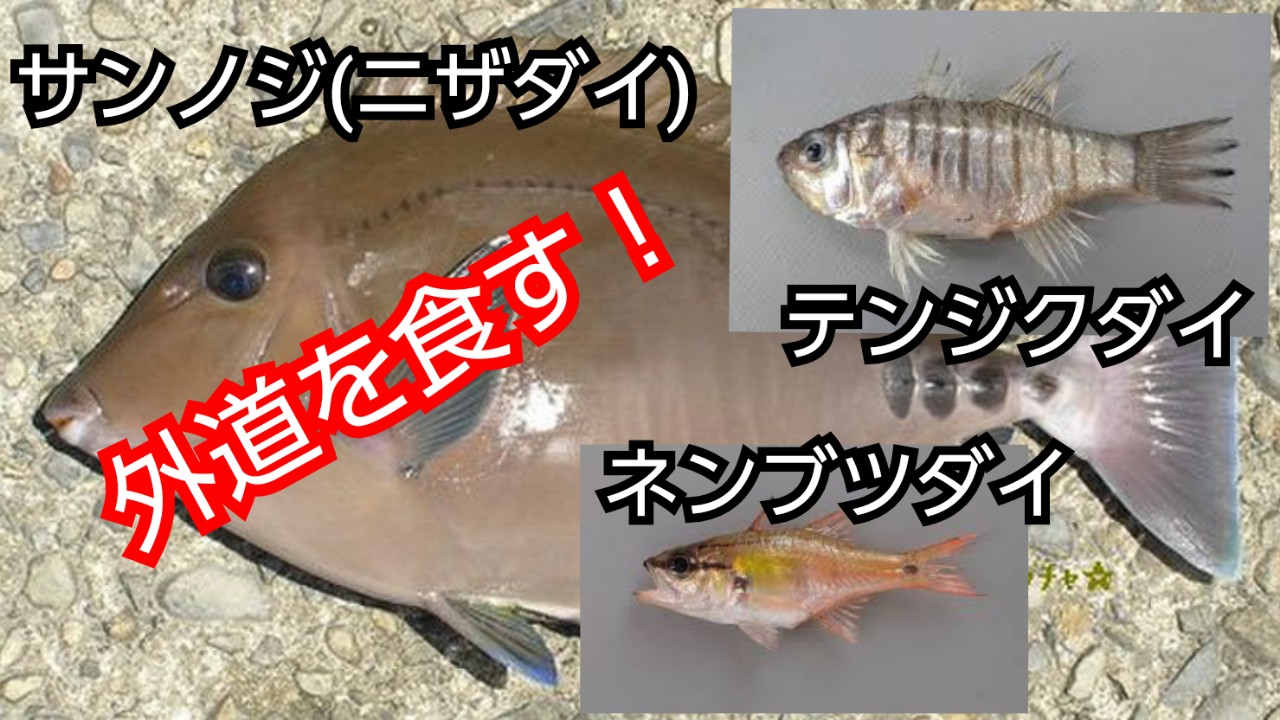 تويتر 男飯 على تويتر 魚料理 サンノジ テンジクダイ ネンブツダイ 料理 魚料理 簡単レシピ サンノジ ニザダイ テンジクダイ ネンブツダイ Cooking Recipe T Co S3zyeoe06f T Co I51nsigotu