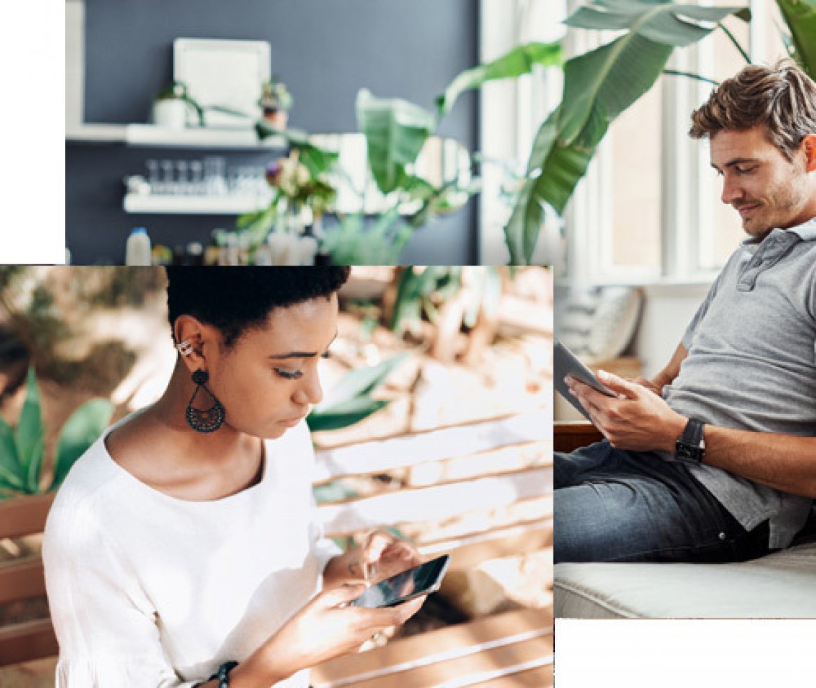 Web e Rede tweet media