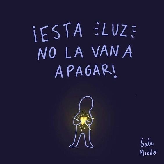 iPrincipito's tweet image. 