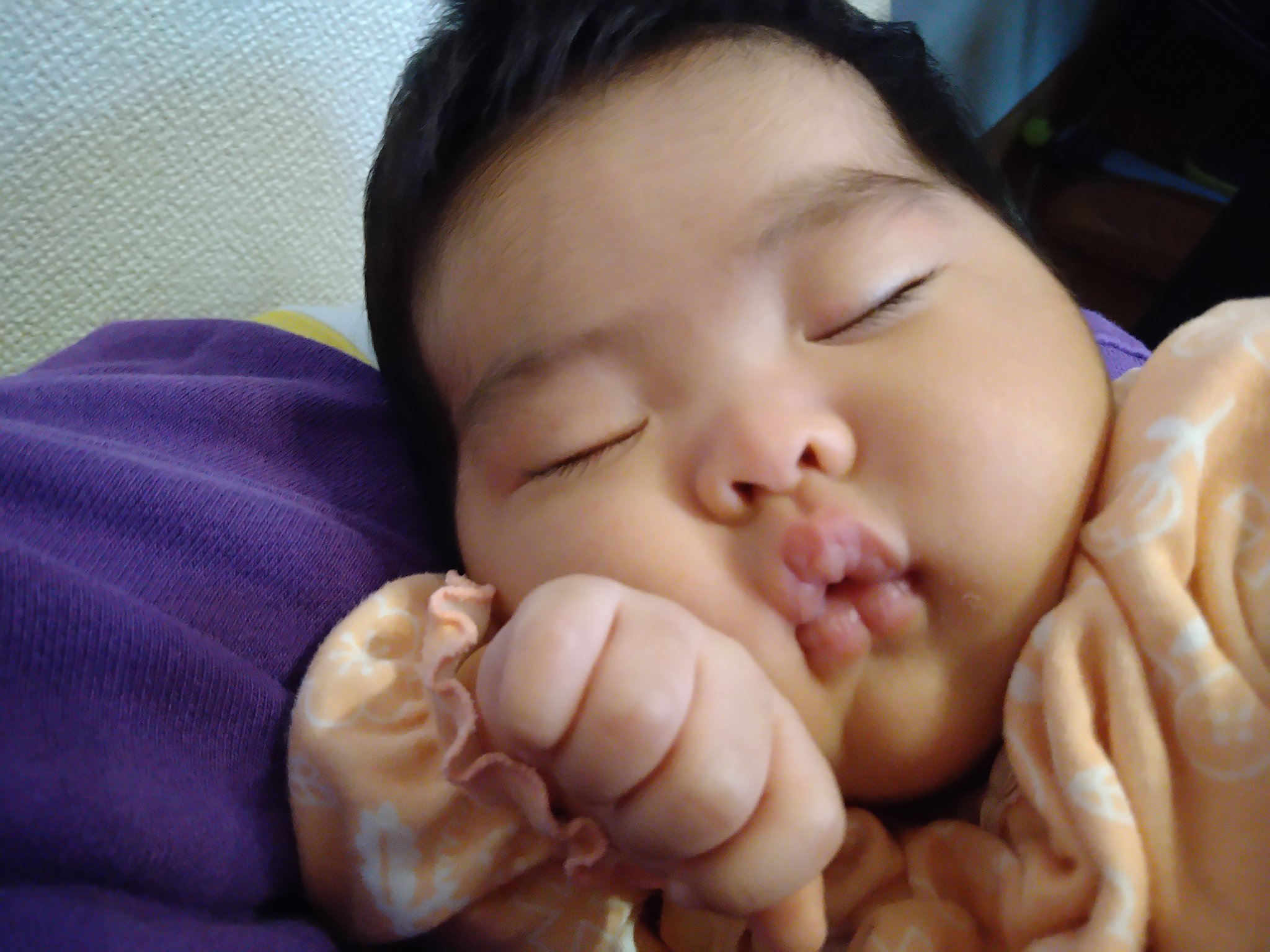 Twitter 上的 やまぐっち 赤ちゃんってガッツ石松か朝青龍の2択だと思ってた 千代ってるやん 千代丸 赤ちゃん T Co Gufpko9fxt Twitter