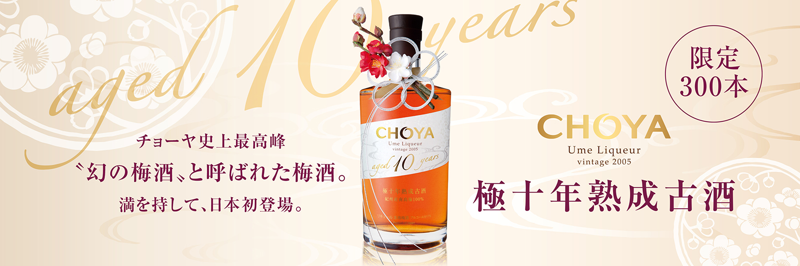 CHOYA Aged 10 Years 極十年熟成古酒 | 【公式】TIAT DUTY FREE