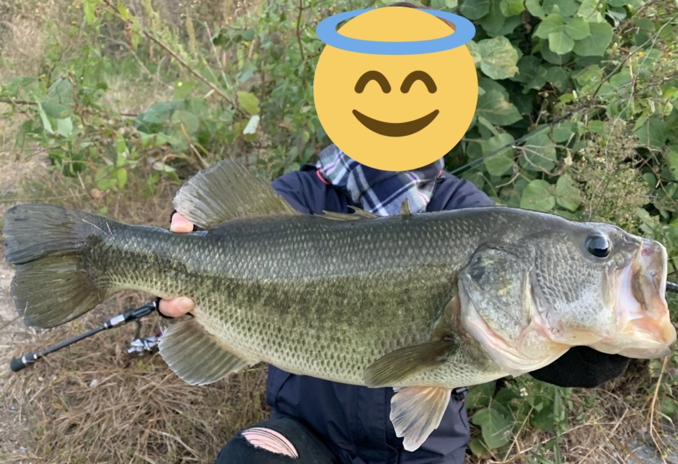 ご 釣り垢 Goso Fishing Twitter