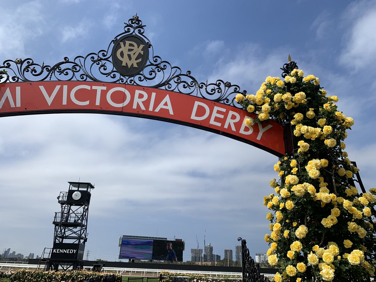 katewatts_'s tweet image. There’s 16,000 rose bushes at Flemington and following this year’s Melbourne Cup Carnival the flowers will be made into bouquets and distributed to frontline health and emergency workers 🌹@racing