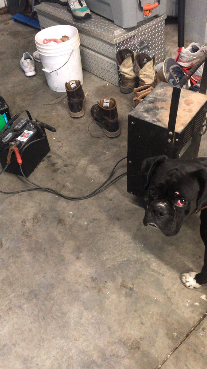 Austin Gooder tweet media