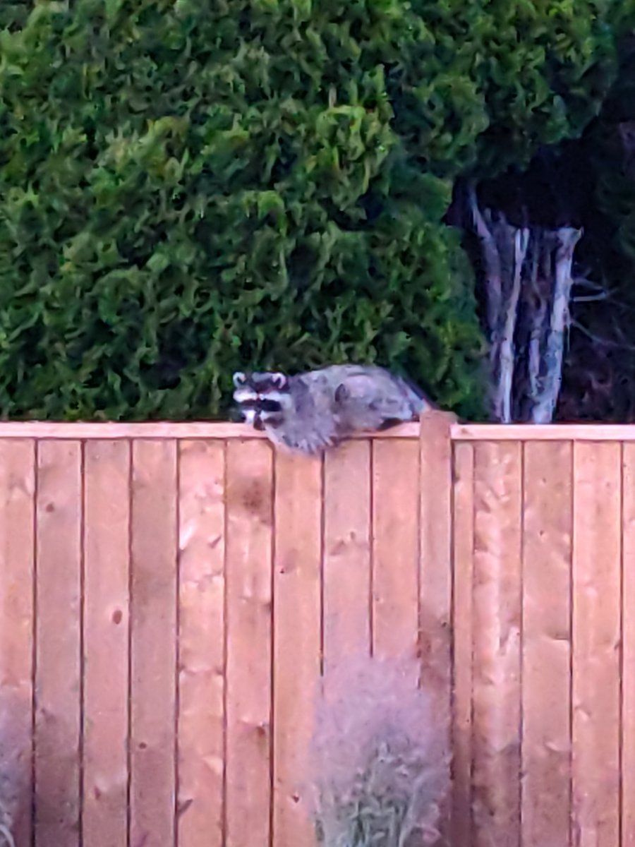 LiveDigital (@livedigitall) on Twitter photo 