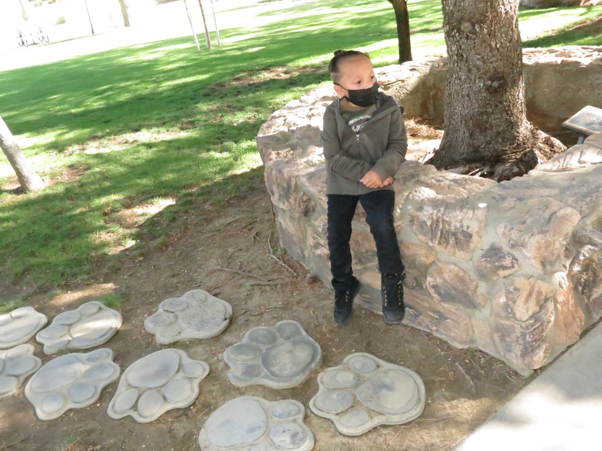 killuh_chicka's tweet image. Bastian 2dayFinally Got2 See His Feline Friends Lil Pic Of Him Sitting On The Small Tree Pot Looking At The Leopard&amp;lt;3 #NativeTwitter #nativechildren #danceingbearcub #mamabear #papistudd #nativebaby #nativehair #nativelooks #nativeboy #pretty #petty #native #mami #felinecompoud