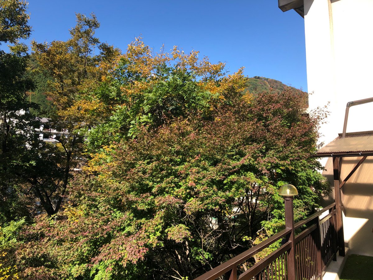 ゆば御膳みやざき 日光 鬼怒川温泉 Yubagozen Twitter