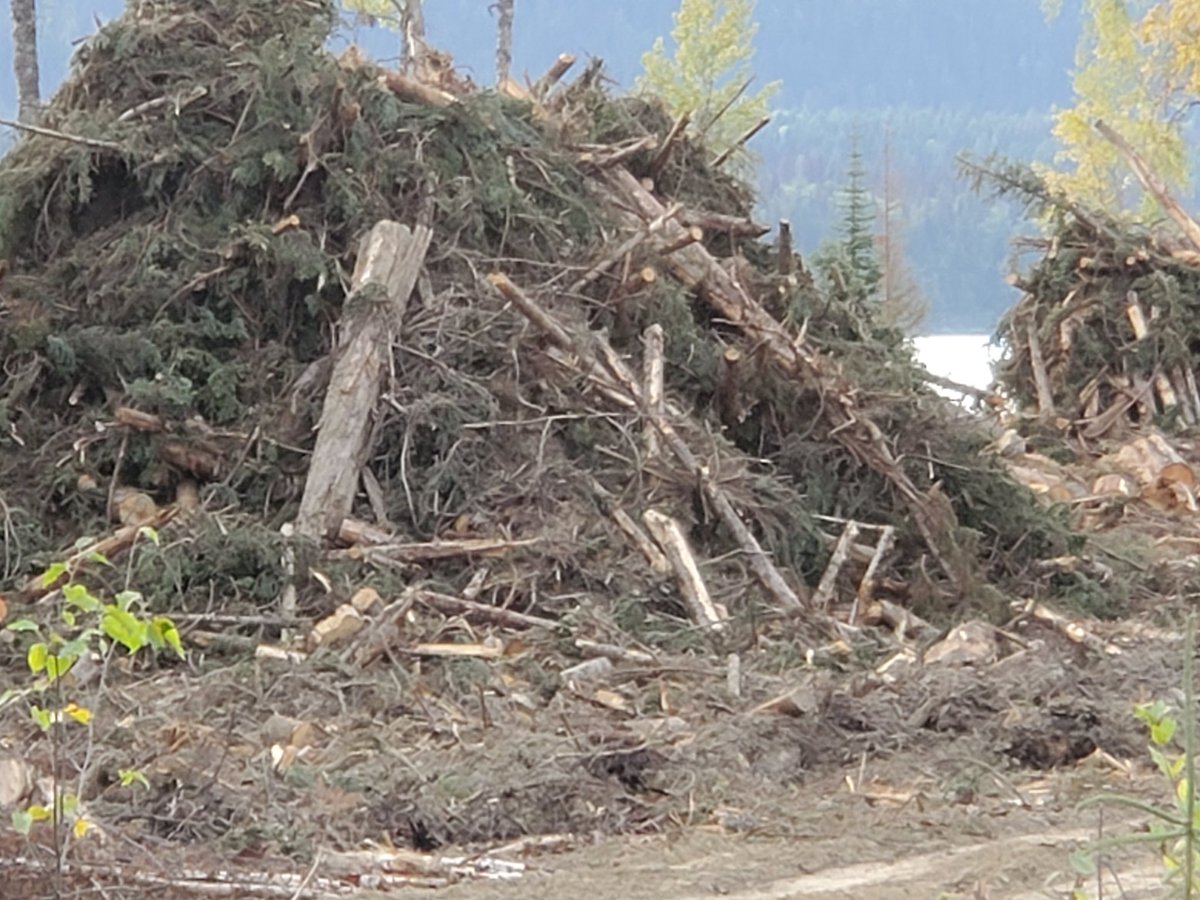 Chris46622952's tweet photo. Fiber issues in bc. Pulpmills and sawmills are closing down indefinitely
So let's keep burning our waste https://t.co/p6By76nIKZ