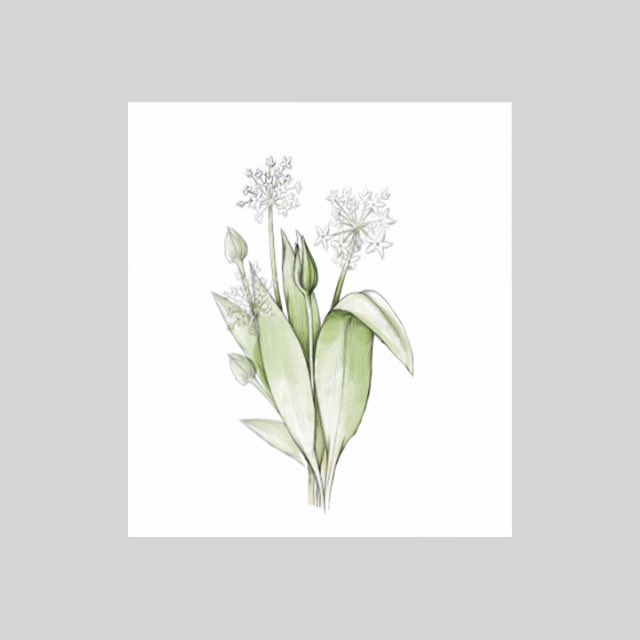 MagPunctuate's tweet image. Hello, writers!
_
Another reminder that Allium is coming and we need your submissions! Check out Allium’s Submittable page. allium.submittable.com/submit
_
#nonfictionbooks #nonfiction #fiction #poetry #literature #literarymagazine #literaryjournal #submittable