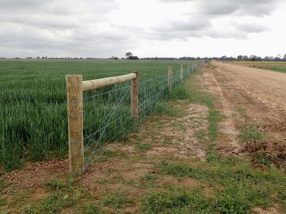 The Gippsland Research Farm continues to be developed under the guidance of @GippslandInc 

Additional fences are being constructed &amp; new sheep yards installed. This  will provide opportunity for grazing trials to be incorporated into the site 👌 

📸 Natalie Jenkins SFS