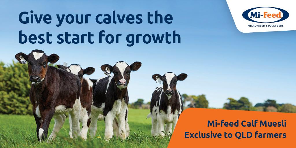 GIVE YOUR CALVES THE BEST START FOR GROWTH
Calf Muesli available now in 20Kg, 1Tonne and in Bulk Truck.
#Dairy #Beef #Calving #Nutrition #Growth
Get the facts &gt;&gt; castlegatejames.com.au/products/agric…