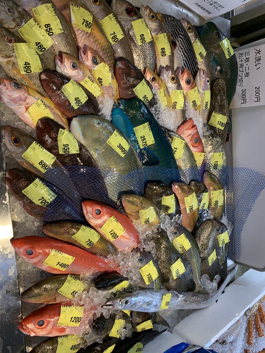 どぅﾊﾀ マクブ いいサイズが釣れたりしたらお送りしたいところなのですけれど 買うとしたらお値段がネックになりますね