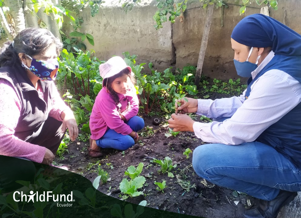 ChildFundEc's tweet photo. Los huertos familiares ayudan a la economía y nutrición y son beneficiosos para niños y niñas ya que fomentan el trabajo en equipo apoyándoles a ser más pacientes, responsables y desarrollar su curiosidad, respeto por la naturaleza y constancia. #NiñezSegurayProtegida . https://t.co/3DYtLgZGxU