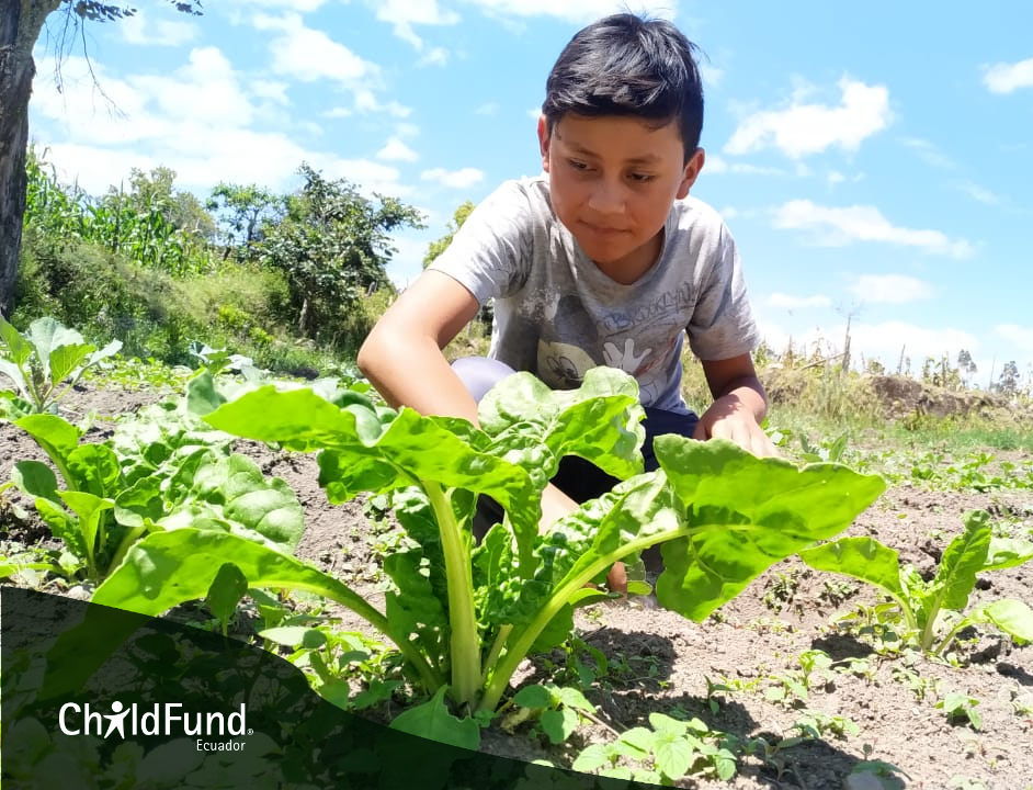 ChildFundEc's tweet photo. Los huertos familiares ayudan a la economía y nutrición y son beneficiosos para niños y niñas ya que fomentan el trabajo en equipo apoyándoles a ser más pacientes, responsables y desarrollar su curiosidad, respeto por la naturaleza y constancia. #NiñezSegurayProtegida . https://t.co/3DYtLgZGxU