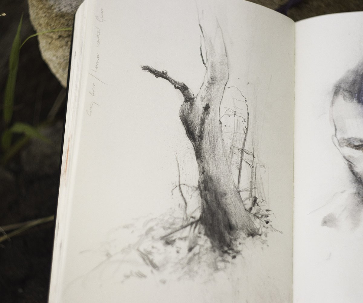 Grey gum below the escarpment, from yesterday’s walk to clear the mind.

#bushland #drawing #training #sketchbook #pencil #pencilsketch #practice #drawingstudies #study