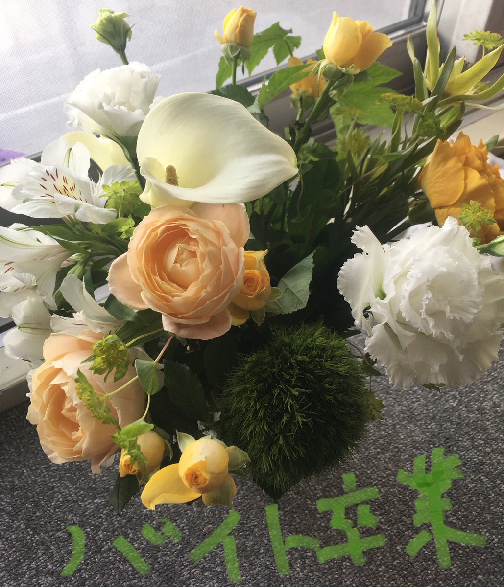 warabinanpira's tweet photo. 昨日2年間お世話になったアルバイトを卒業。(写真は会社からいただいたお花)。残すは卒論のみ。頑張ろう！ https://t.co/jkSkgSNNWC