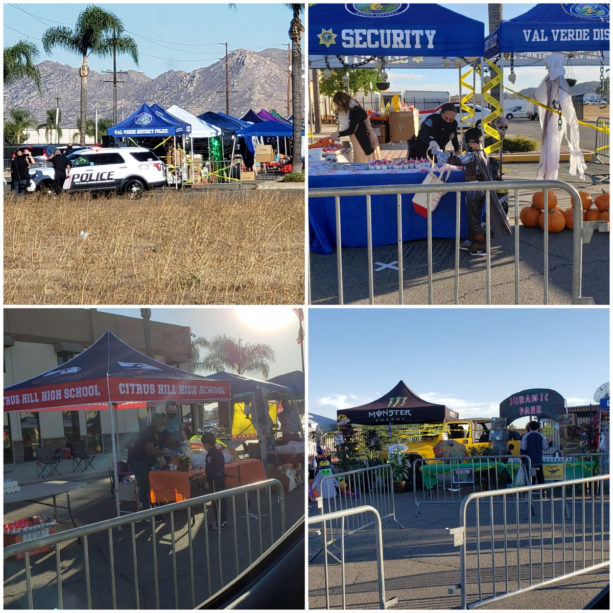 Sem Avena tweet media