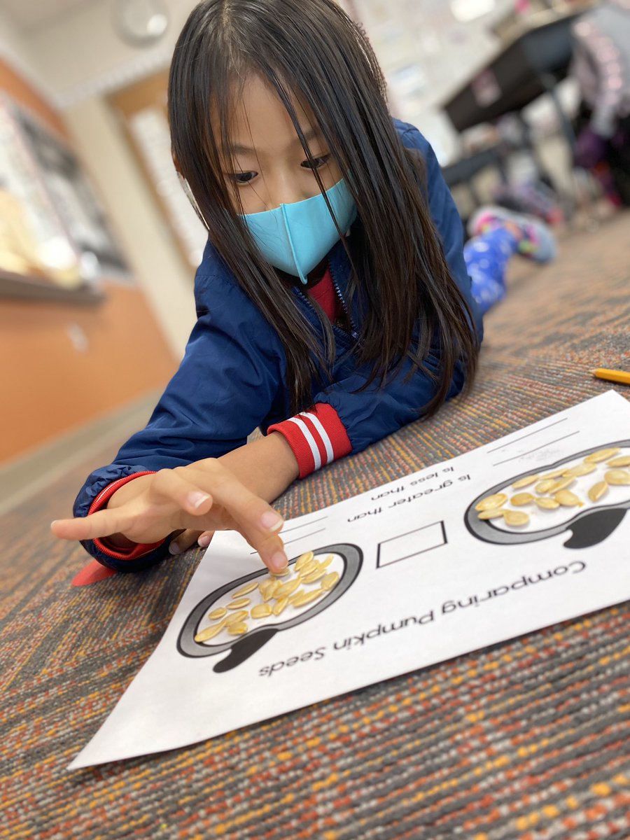 Comparing Pumpkin Seeds! 🎃 #ASEstrong <a href="/ASE_Dalmatians/">Sullivan Elementary</a> <a href="/FirstGrade_ASE/">ASE First Grade</a>