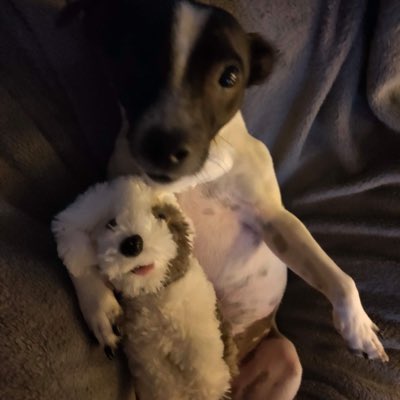 LukeCalder9's tweet image. #NewProfilePic