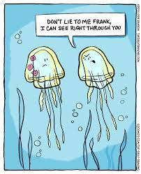 GTFNQ's tweet photo. This concludes our 3 weeks of random jellyfish facts; our senior stem class has been sharing information of jellyfish through memes and cartoon, to hopefully brighten your day and educate you. https://t.co/bwmGC5V1Z5