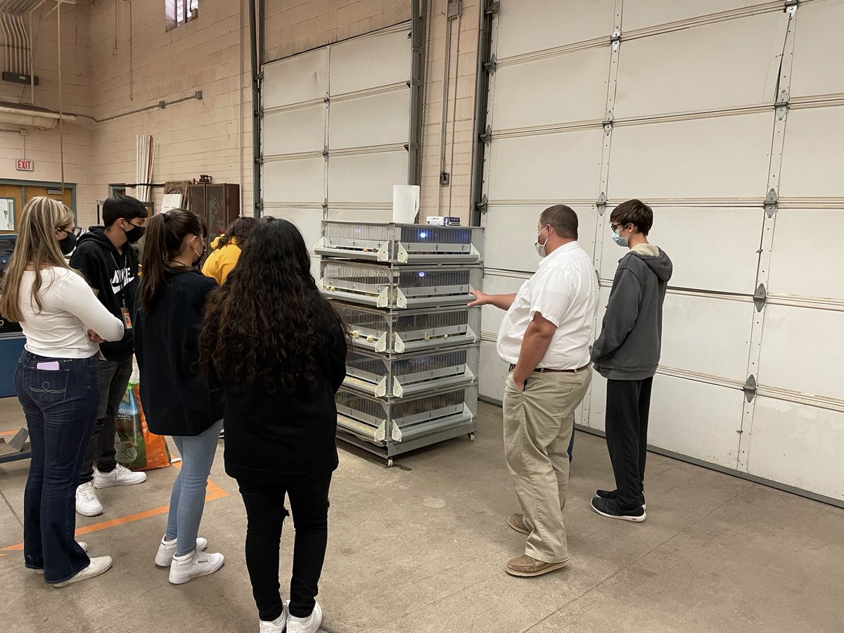 CGUHSD_82's tweet photo. CG Union’s Mr. Farnsworth and his students are preparing to take care of the 200 meat birds that have just arrived. It won’t be long.
#CGUHSDPRIDE https://t.co/P4k6DKom0d