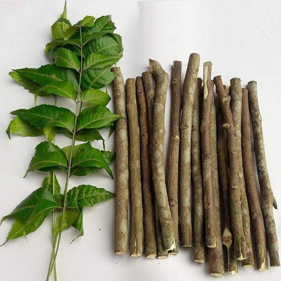 Flowers: to reduce the bile production in the body, reduce phlegmNeem Twigs: Effective in treating cough, asthmaNeem Seeds: in the treatment of intestinal worms and leprosyThe stem, root bark, and fruit are used as a tonic and astringent.