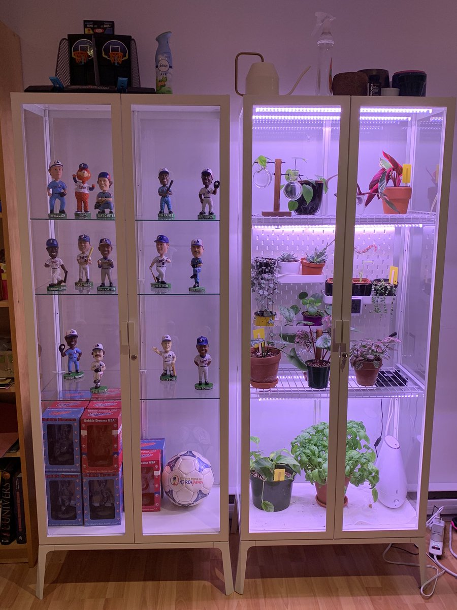 MyDreamShape's tweet photo. His &amp; Hers #greenhousecabinet #houseplants https://t.co/MU5Ab8O06N