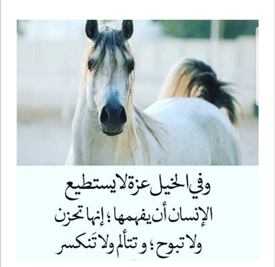 ₰ ♘ ᘓɹɹɹȷᒪᓅᒧĨ (@oj__jj) on Twitter photo 