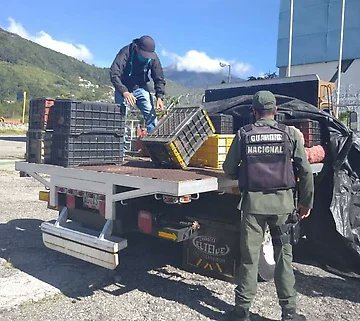 JesusRondonVen's tweet photo. Curiosidades:  @MinpublicoVE @TarekWiliamSaab  procesa a quienes intentan surtir gasolina de manera fraudulenta, 1 transportista sin carga o al que fingió estar muerto. Mientras guarda silencio y  no ha  procesado a nadien por el cobro  regular en $ para no hacer cola. @aporrea https://t.co/H6EMgLkAWP