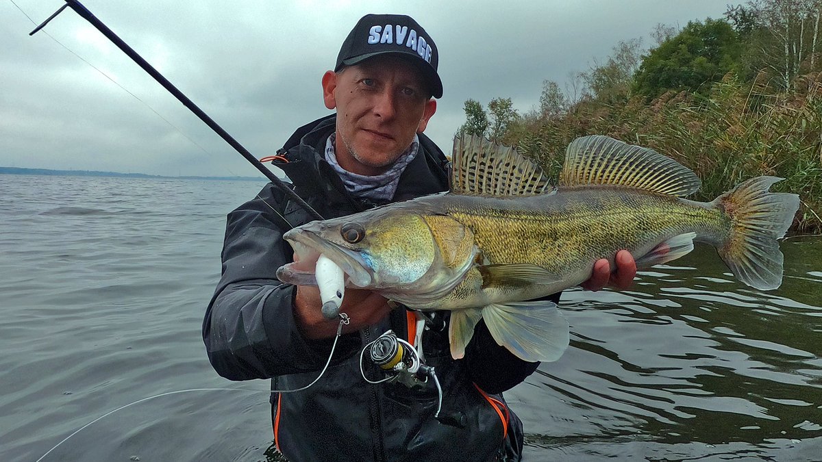 SavageGearPL's tweet photo. #kołowrotek #spinning-owy #Okuma #HeliosSX nie wymięka na jesiennych #sandacz-ach 🐟🎣😁
#OkumaPolska #OkumaFishing #5latGwarancji #InspiredFishing #InspirowanaDesignem #DominateWithPower #DominujSiłą #SpinningDNA #zander #Helios #Helios_SX https://t.co/dYVCs9pV09