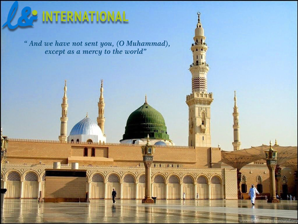 In this holy month of Rabi-ul-Awal The Prophet Muhammadصلى الله عليه وسلم was born in Medina, Saudi Arabia. 
In the memory of this gifted month we make this month special by giving Flat 50% to our customers, retailers, wholesalers and distributors.
land-int.com