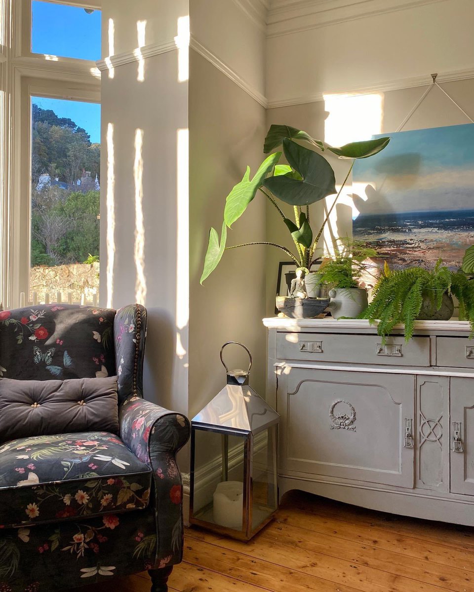 HHolmedale's tweet photo. Weather is a bit hit and miss here so hereโs a sunny photo from the other day โ๏ธ and some of my beautiful plants ๐ฟ
Happy Friday ๐ฅฐ
#homestyling #homeaccounts #beautifulhomesfeature #interioraccounts #darkinteriors #homedecorblogger #pocketofmyhome #interiorstyling https://t.co/vEab9x33Ht