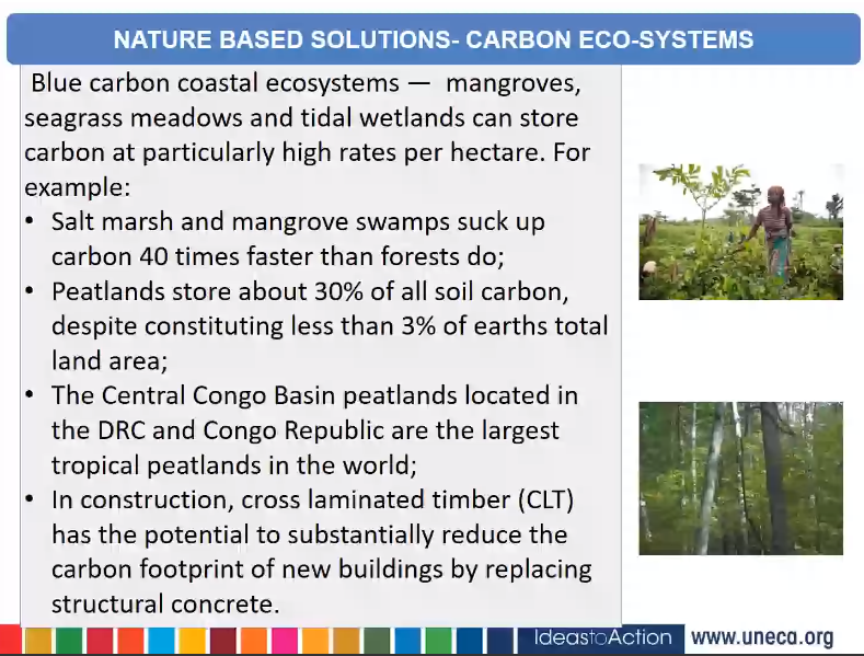 #Energy is the cornerstone of #Africa's recovery from #COVID19, <a href="/ECA_OFFICIAL/">ECA</a>'s <a href="/AdamJeanPaul/">Jean-Paul Adam</a> tells #African Ambassadors during presentation on #greenrecovery for #African resilience post the pandemic. #renewableenergy #solarenergy #gas #ClimateChange #BuildForwardBetter #SDGs