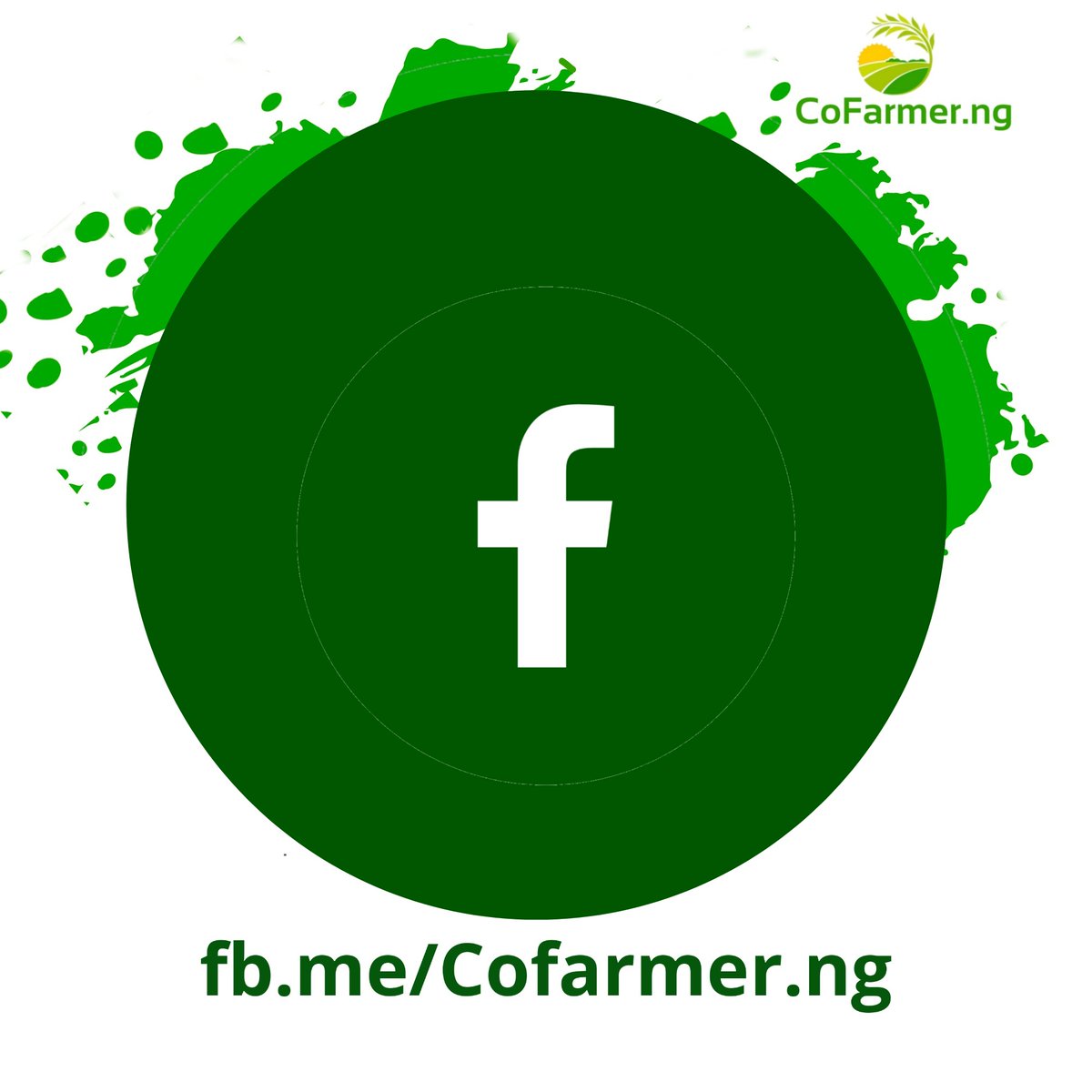 Let's connect More 🍀🍀🍀
Follow us on our social media pages.

#cofarmer #social #socialmedia #twitter #facebook #instagram #investment #investinfarming 
#wizkid