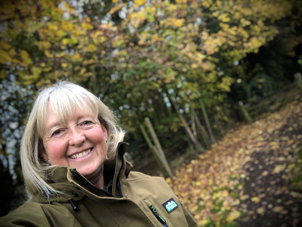 It may be grey and drizzly this morning, but leaf colour here is beautiful! #Autumn #Dogwalk https://t.co/Q4cyeY3air