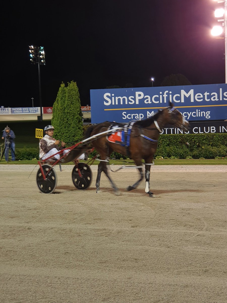 AlexandraPark's tweet photo. The @MagnessBenrow1 Sires Stakes Champs is taken out by Bettor Twist! Driven by Tim Williams, congratulations to the Breckon Syndicate and all the connections. https://t.co/nQeobN1wjP