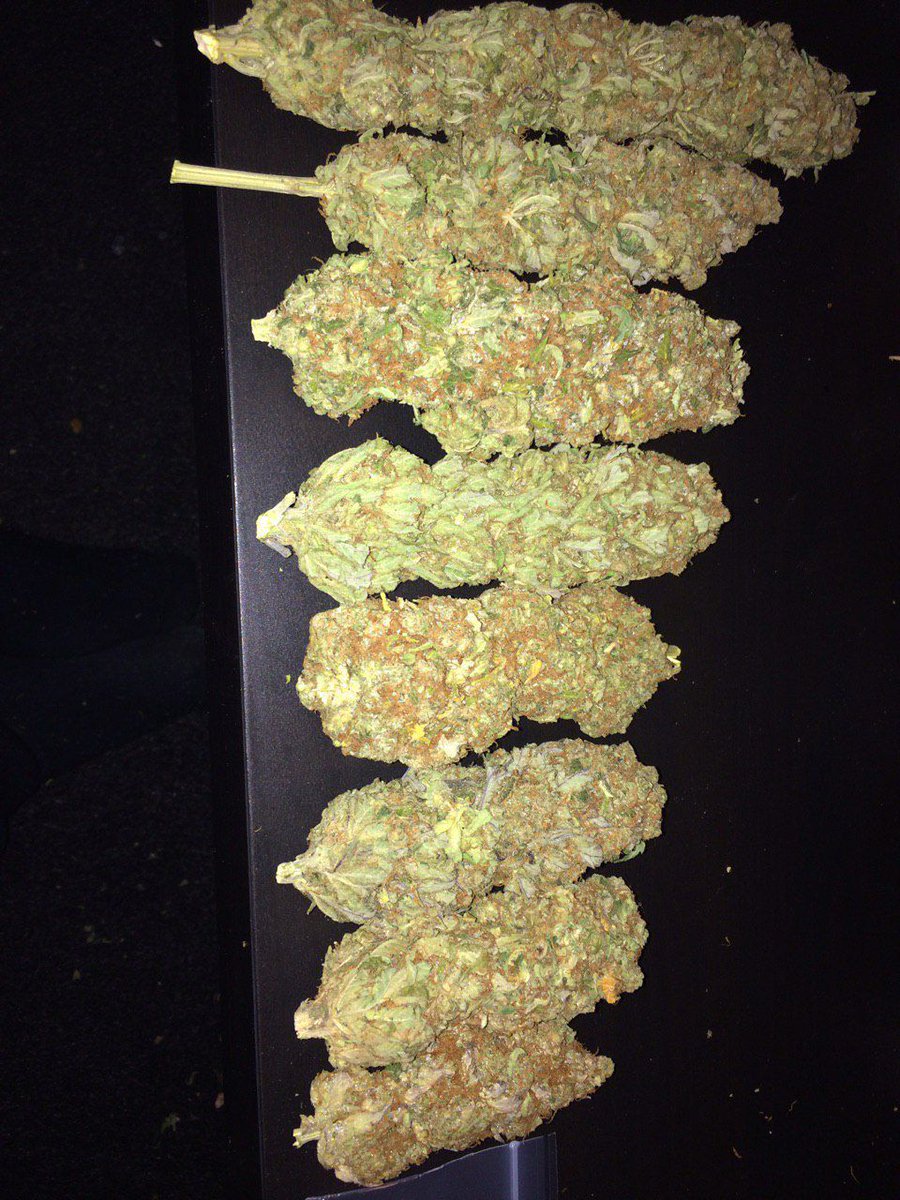 continentalweed's tweet photo. https://t.co/W5bCtVENTx