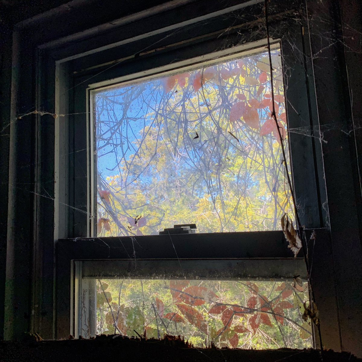STILLFIN1's tweet photo. As Empty as You May Feel There’s Beauty Some Where Else. #stillfin
abandonedplaces #abandoned #adventure https://t.co/Pw03WcVDm7