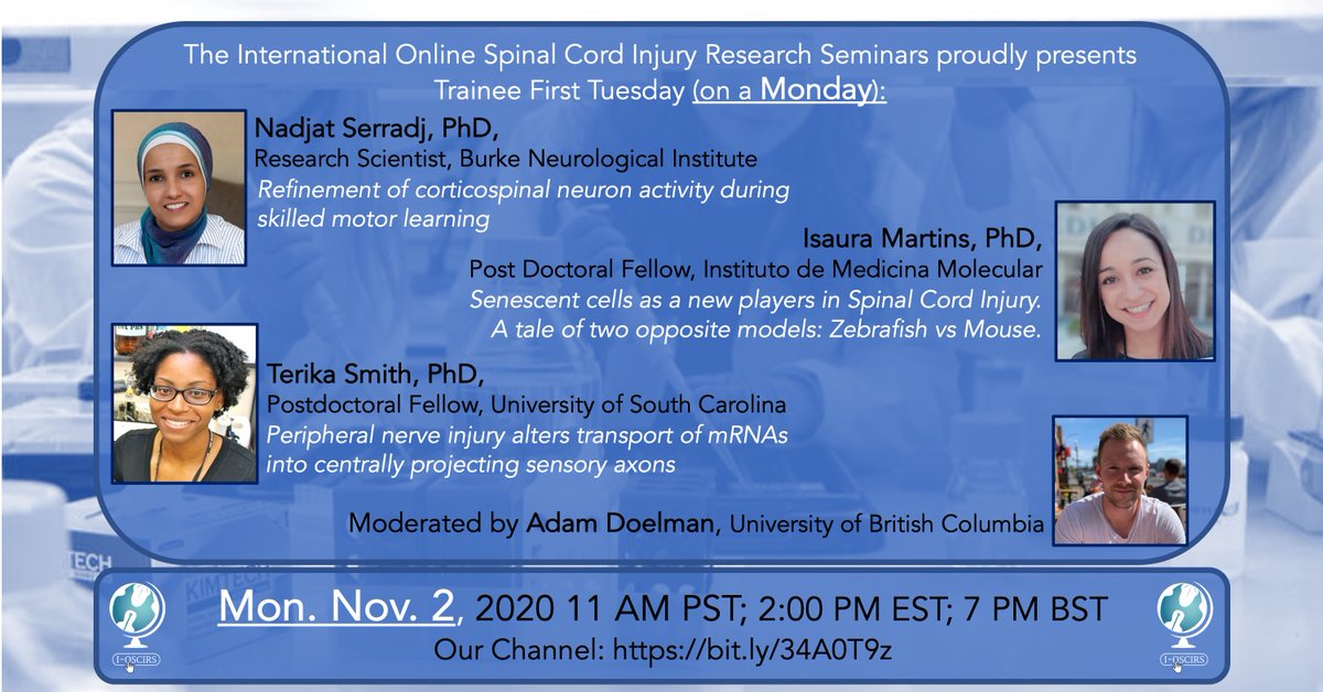 International Online SCI Research Seminars tweet media