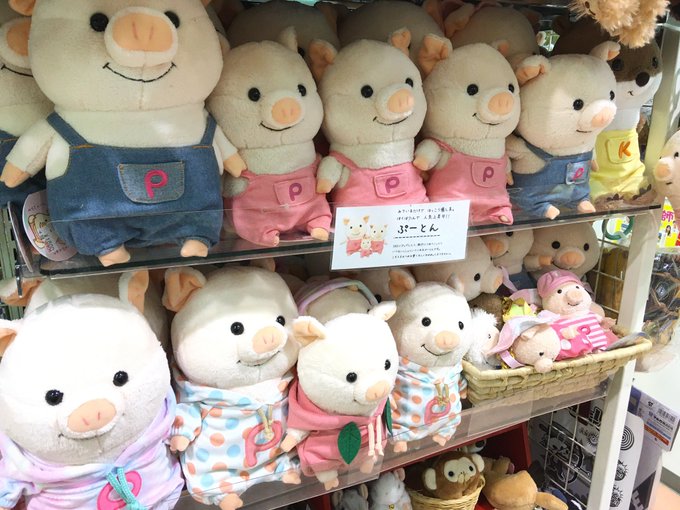 白牡丹 イオンモール新利府北館店さん がハッシュタグ ぬいぐるみ をつけたツイート一覧 1 Whotwi グラフィカルtwitter分析