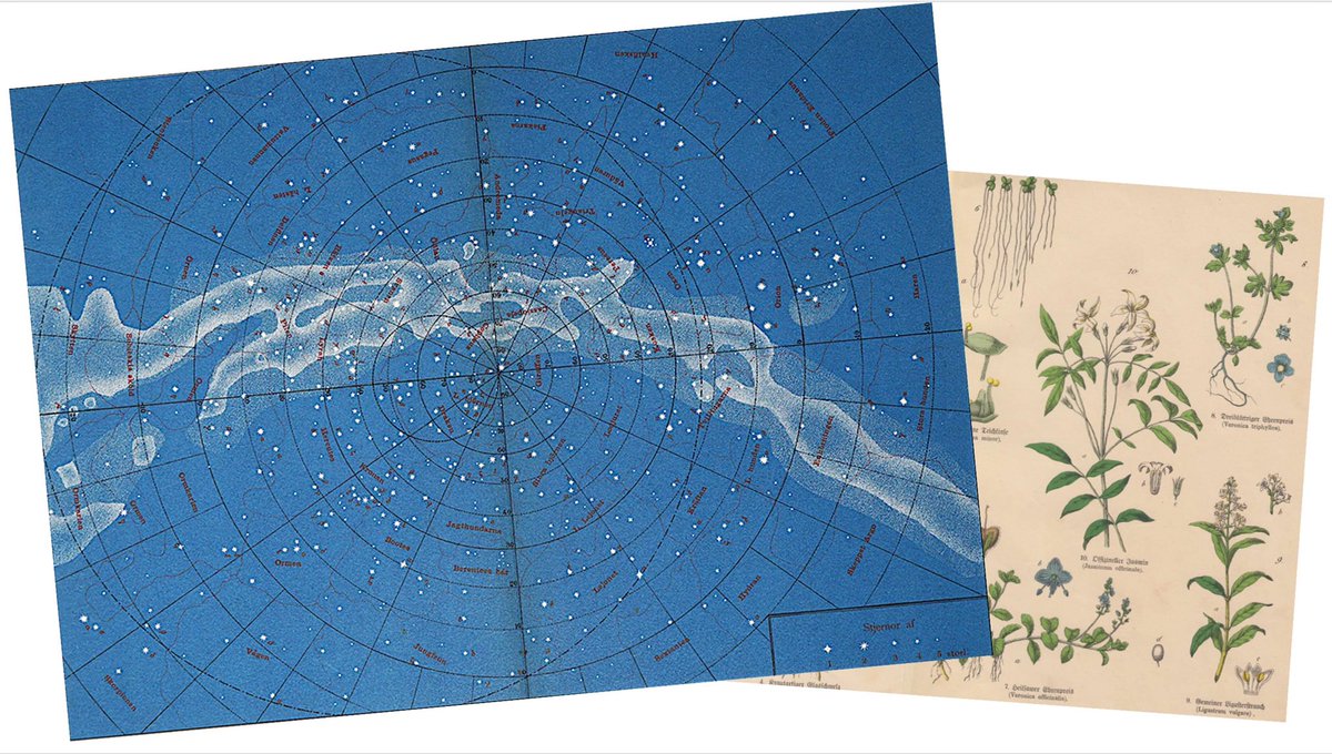 三宅商店 No Twitter 和暦手帳入荷しました 昨年通りのカバー無し 梨地カバーに加え今年は 麻布製の繰返し使えるハードカバーのアイボリー 黄色 紺を入荷しました 今年は水瓶座時代を迎える水を巡る一年 和暦と共に 月のバイオリズムや美しい雨の名前の
